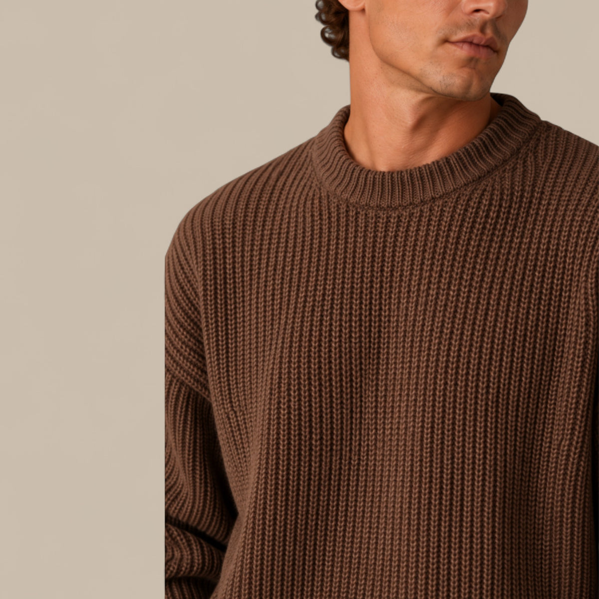 Ethan | Men's Chunky Knit Crewneck Sweater