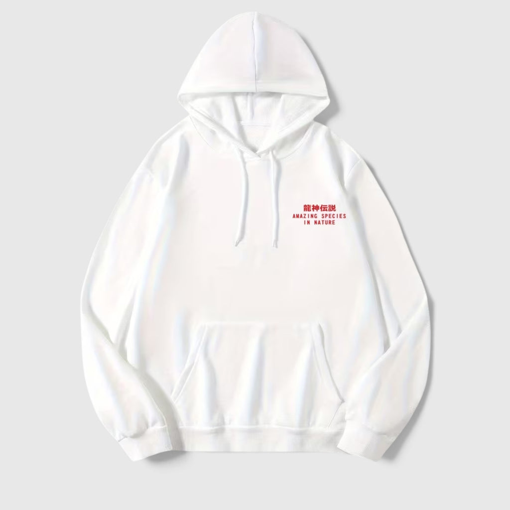 Theo | Men's Dragon Hoodie – Regular Fit Everyday Pullover
