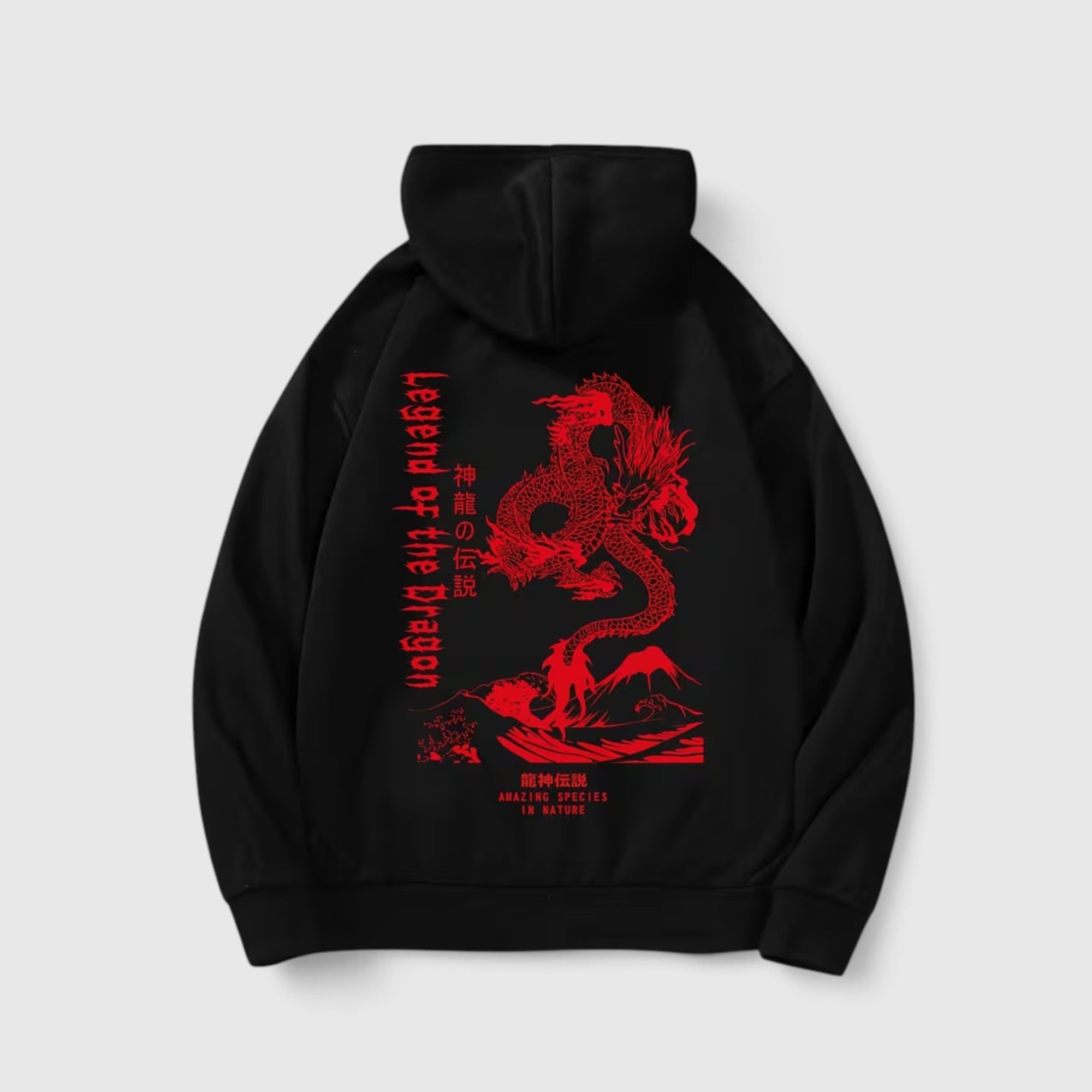 Theo | Men's Dragon Hoodie – Regular Fit Everyday Pullover