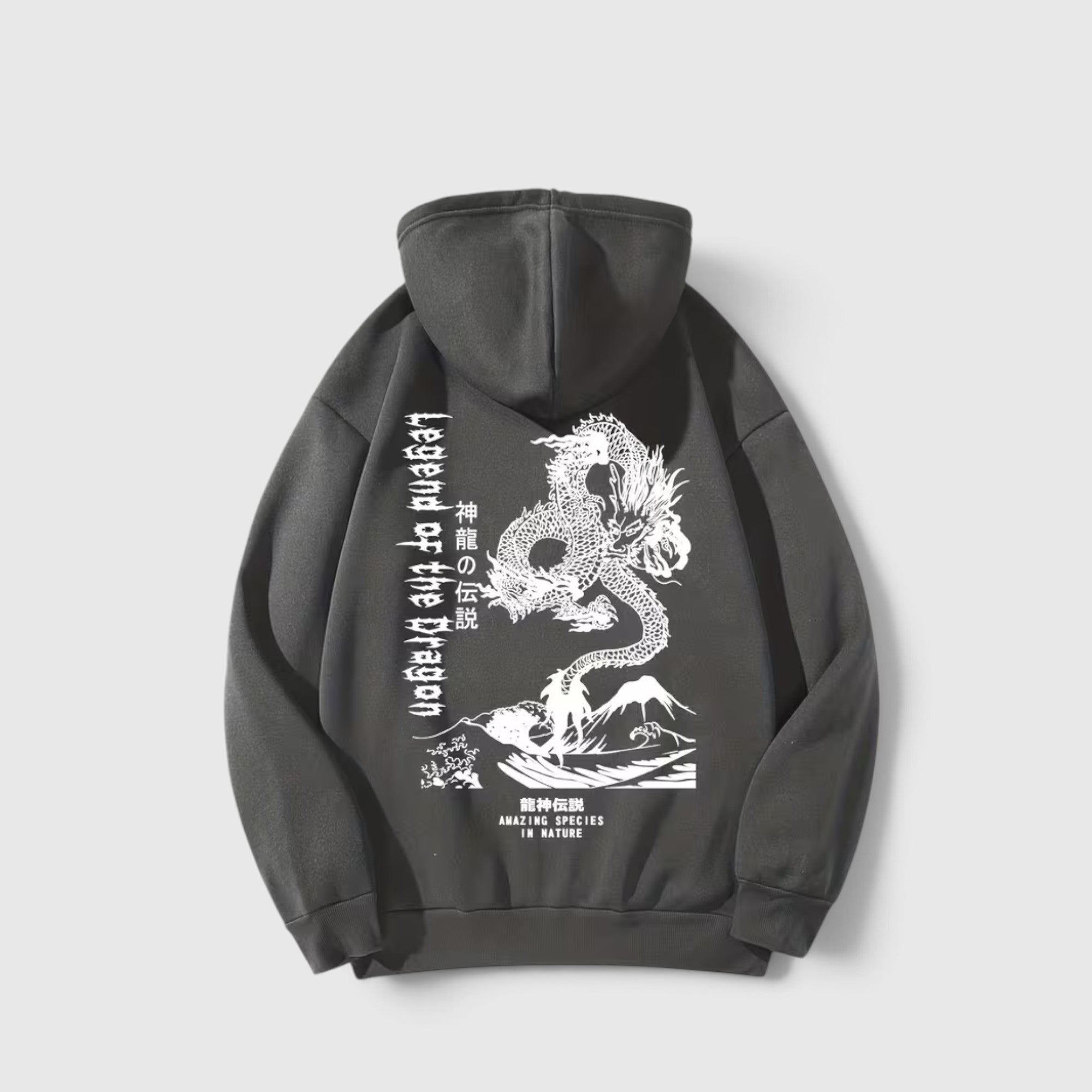 Theo | Men's Dragon Hoodie – Regular Fit Everyday Pullover
