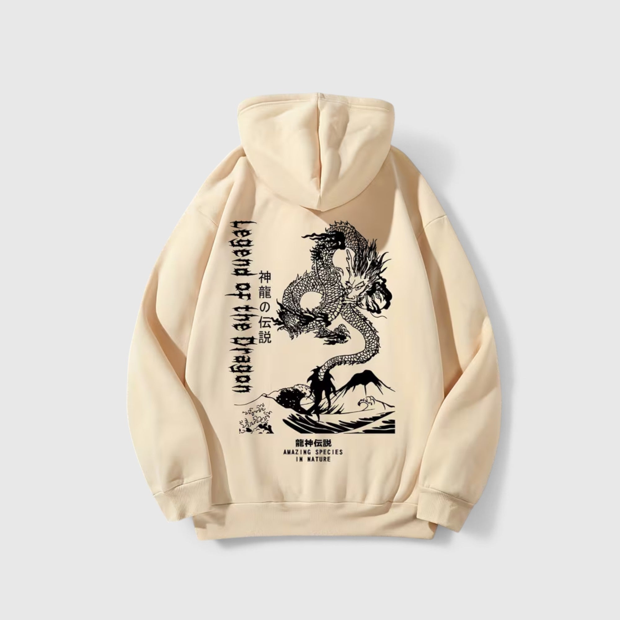 Theo | Men's Dragon Hoodie – Regular Fit Everyday Pullover