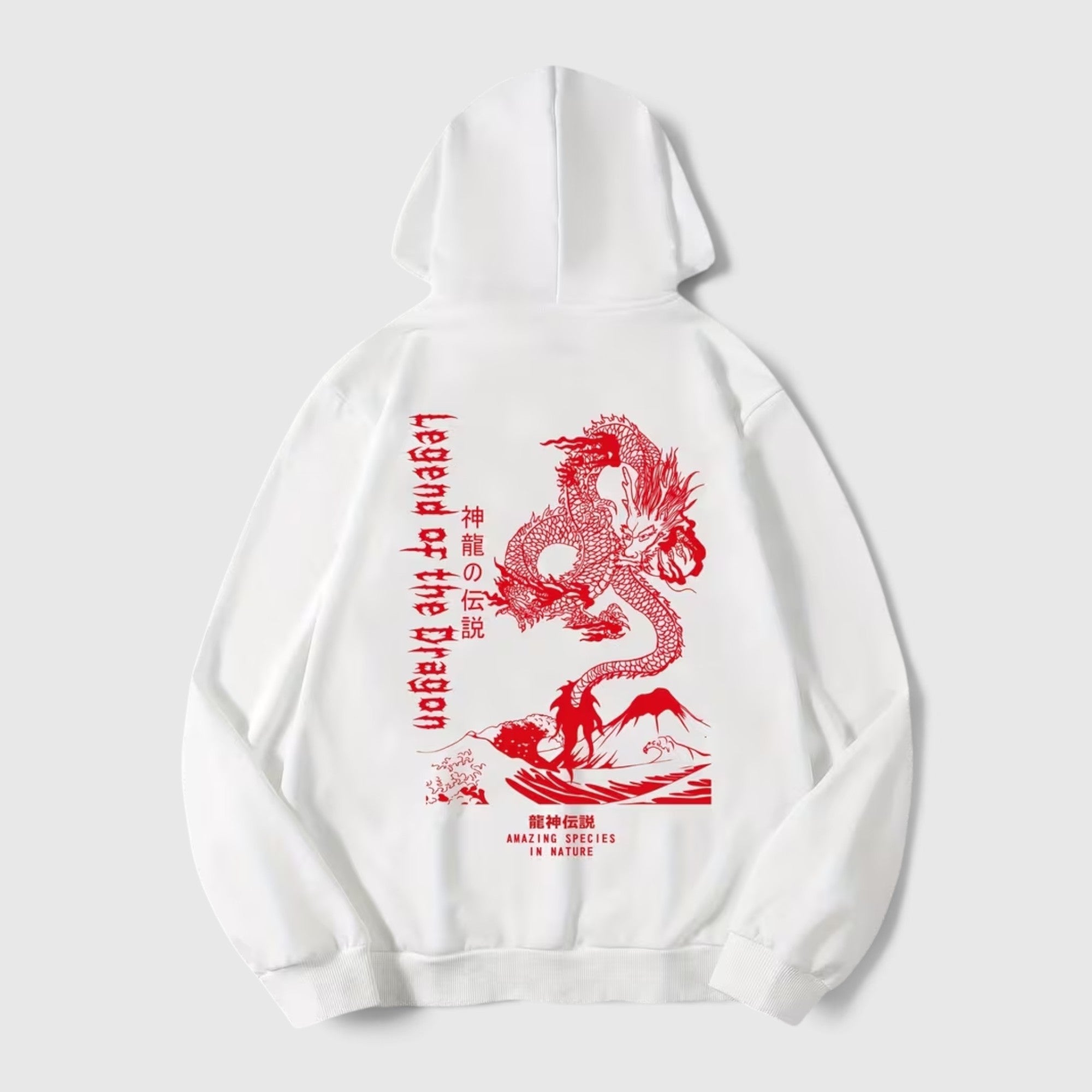 Theo | Men's Dragon Hoodie – Regular Fit Everyday Pullover