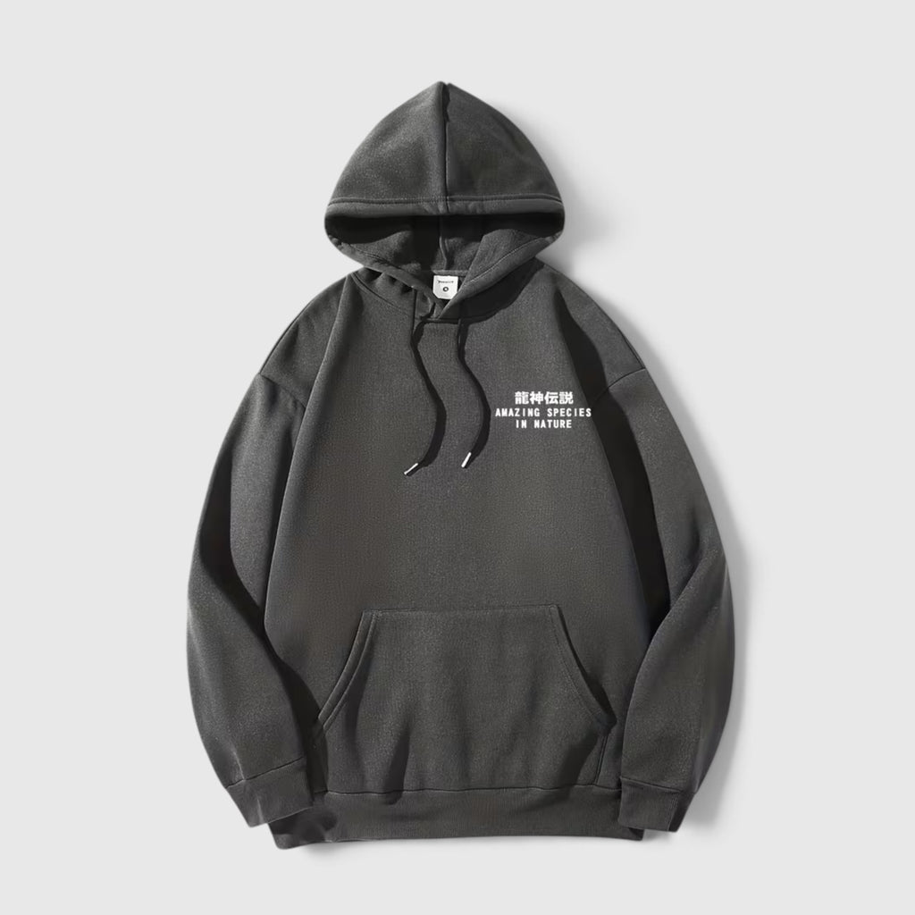 Theo | Men's Dragon Hoodie – Regular Fit Everyday Pullover