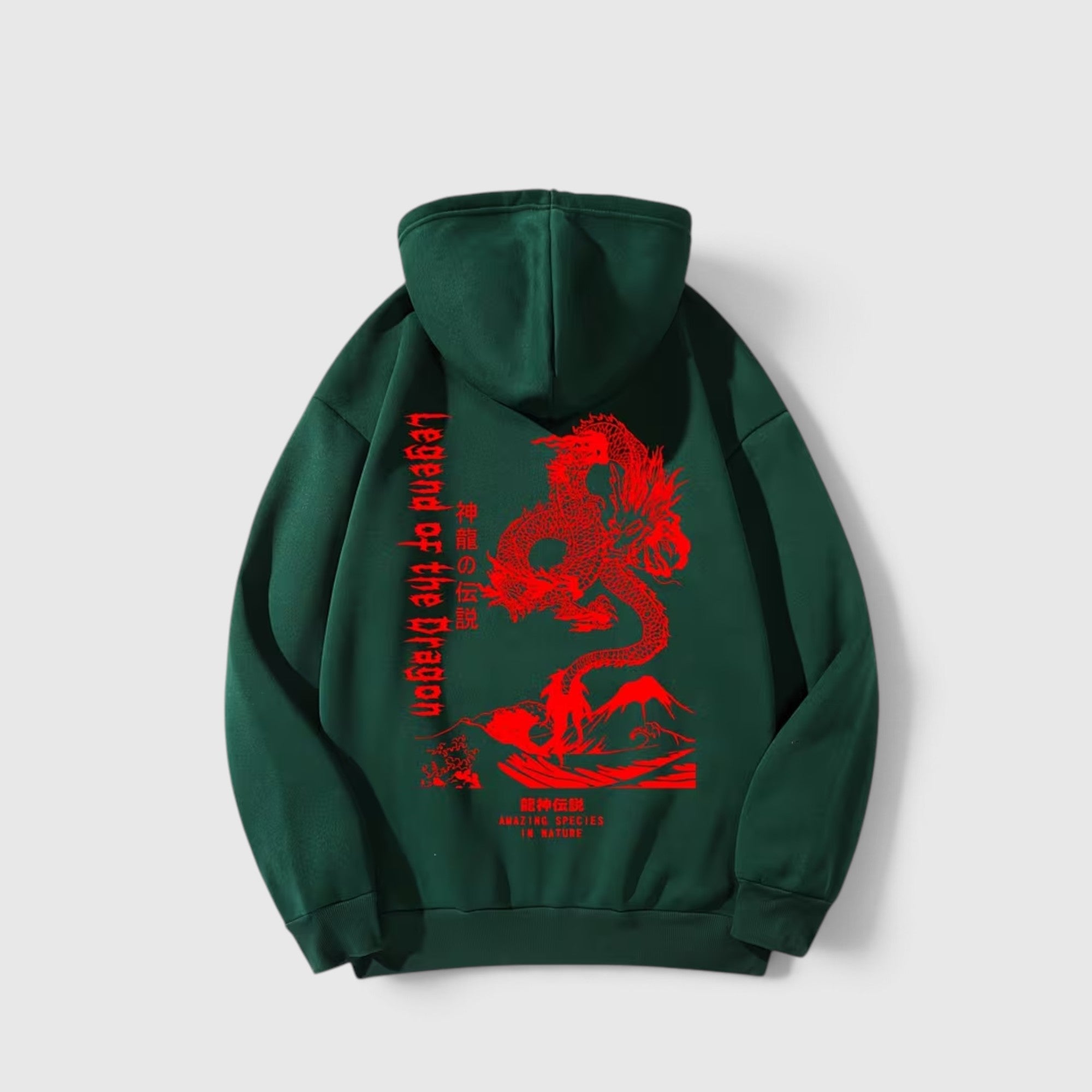 Theo | Men's Dragon Hoodie – Regular Fit Everyday Pullover